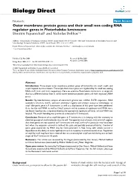 Outer Membrane Protein Genes and Their Small Non-Coding RNA Regulator Genes in Photorhabdus Luminescens Dimitris Papamichail1 and Nicholas Delihas*2