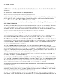 Flag Football Overview