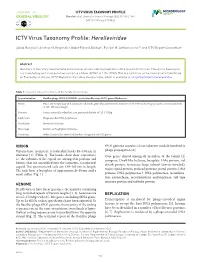 ICTV Virus Taxonomy Profile: Herelleviridae