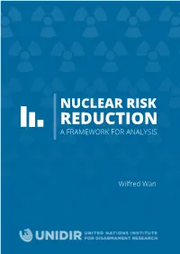 Nuclear Risk Reduction: a Framework for Analysis