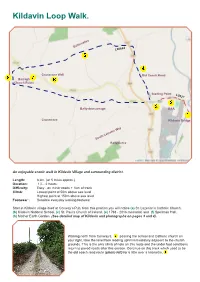 Kildavin Loop Walk