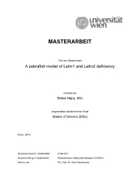 Masterarbeit