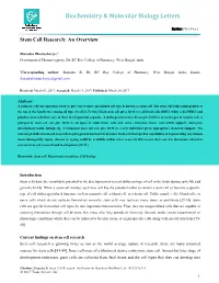Stem Cell Research: an Overview