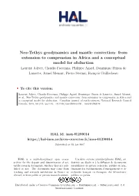 Neo-Tethys Geodynamics and Mantle Convection