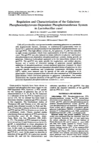 Phosphoenolpyruvate-Dependent Phosphotransferase System in Lactobacillus Casei BRUCE M
