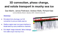 3D Convection, Phase Change, and Solute Transport in Mushy Sea Ice