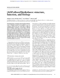 ADP-Ribosyl)Hydrolases: Structure, Function, and Biology