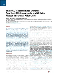 The RAG Recombinase Dictates Functional Heterogeneity and Cellular Fitness in Natural Killer Cells