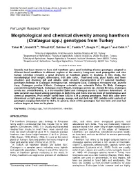 Crataegus Spp., Fruit Characteristics, Selection