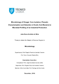 Microbiology of Vinegar: from Isolation, Phenetic Characterization and Detection of Acetic Acid Bacteria to Microbial Profiling of an Industrial Production