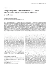 Synaptic Properties of the Mammillary and Cortical Afferents to the Anterodorsal Thalamic Nucleus in the Mouse