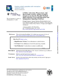 3970.Full.Pdf