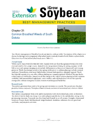 Common Broadleaf Weeds of South Dakota