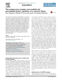 The Nuclear Pore Complex Core Scaffold And