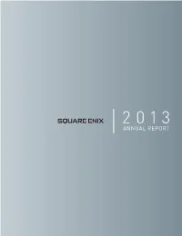 2013 Annual Report