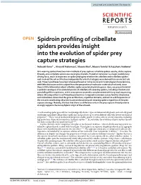 Spidroin Profiling of Cribellate Spiders Provides Insight Into the Evolution of Spider Prey Capture Strategies