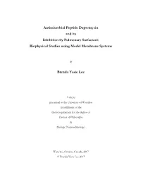 Antimicrobial Peptide Daptomycin and Its Inhibition by Pulmonary Surfactant: Biophysical Studies Using Model Membrane Systems