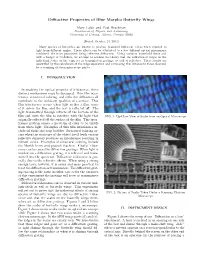 Diffractive Properties of Blue Morpho Butterfly Wings