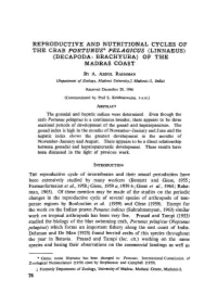Reproductive and Nutritional Cycles of the Crab &lt;Emphasis Type="Italic"&gt;