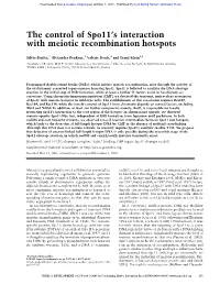 The Control of Spo11's Interaction with Meiotic Recombination Hotspots