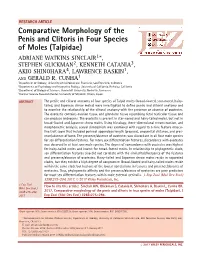 Comparative Morphology of the Penis and Clitoris in Four Species of Moles