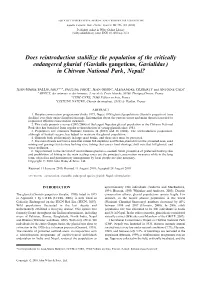 Does Reintroduction Stabilize the Population of the Critically Endangered Gharial (Gavialis Gangeticus, Gavialidae) in Chitwan National Park, Nepal?