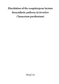 Elucidation of the Sesquiterpene Lactone Biosynthetic Pathway in Feverfew (Tanacetum Parthenium)