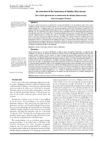 An Overview of the Taxonomy of Attalea (Arecaceae)