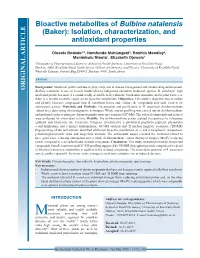 Bioactive Metabolites of Bulbine Natalensis (Baker): Isolation, Characterization, and Antioxidant Properties