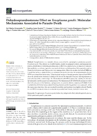 Dehydroepiandrosterone Effect on Toxoplasma Gondii: Molecular Mechanisms Associated to Parasite Death