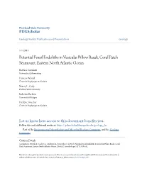 Potential Fossil Endoliths in Vesicular Pillow Basalt, Coral Patch Seamount, Eastern North Atlantic Ocean