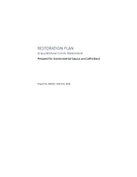 Sequalitchew Creek Restoration Plan