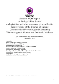 Shadow NGO Report on Turkey's First Report on Legislative and Other