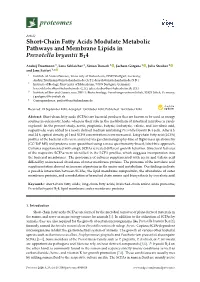 Short-Chain Fatty Acids Modulate Metabolic Pathways and Membrane Lipids in Prevotella Bryantii B14