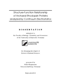 Structure-Function Relationship of Archaeal Rhodopsin Proteins Analyzed by Continuum Electrostatics