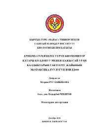 Ephedra Intermedia Түрүн Биомонитор Катары Колдонуу Менен Кажы-Сай Уран Калдыктарын Сактоочу Жайынын Экотоксикалуулугун Изилдөө