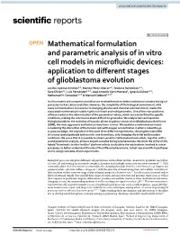 Mathematical Formulation and Parametric Analysis of In
