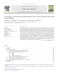 Two Episodes of Environmental Change at the Permian–Triassic Boundary of the GSSP Section Meishan