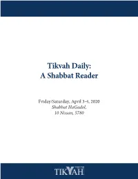 Tikvah Daily: a Shabbat Reader