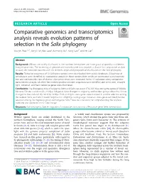 Comparative Genomics and Transcriptomics Analysis Reveals Evolution Patterns of Selection in the Salix Phylogeny