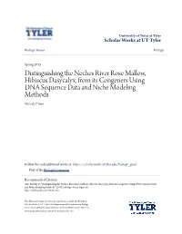 Distinguishing the Neches River Rose Mallow, Hibiscus Dasycalyx, from Its Congeners Using DNA Sequence Data and Niche Modeling Methods Melody P