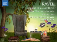 L'enfant Et Les Sortilèges