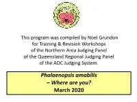 Phalaenopsis Amabilis – Where Are You? March 2020 Acknowledgement of Sources