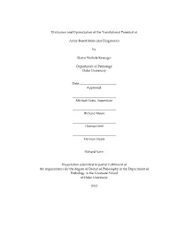 Evaluation and Optimization of the Translational Potential of Array