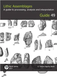 49. Lithic Assemblages