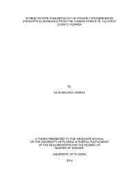 University of Florida Thesis Or Dissertation Formatting