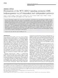 Dysfunction of the WT1-MEG3 Signaling Promotes AML Leukemogenesis Via P53-Dependent and -Independent Pathways