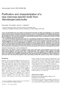 Purification and Characterization of a New Mannose-Specific Lectin from Sternbergia Lutea Bulbs