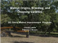 Walnut Origins, Breeding, and Choosing Varieties