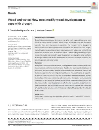 How Trees Modify Wood Development to Cope with Drought
